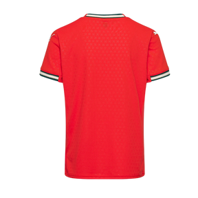 Camisa do Portugal 2025/26 Home