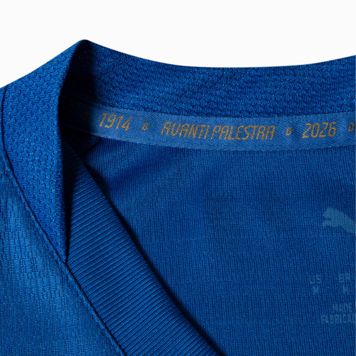 Camisa Palmeiras Third 2026 - Versão Jogador