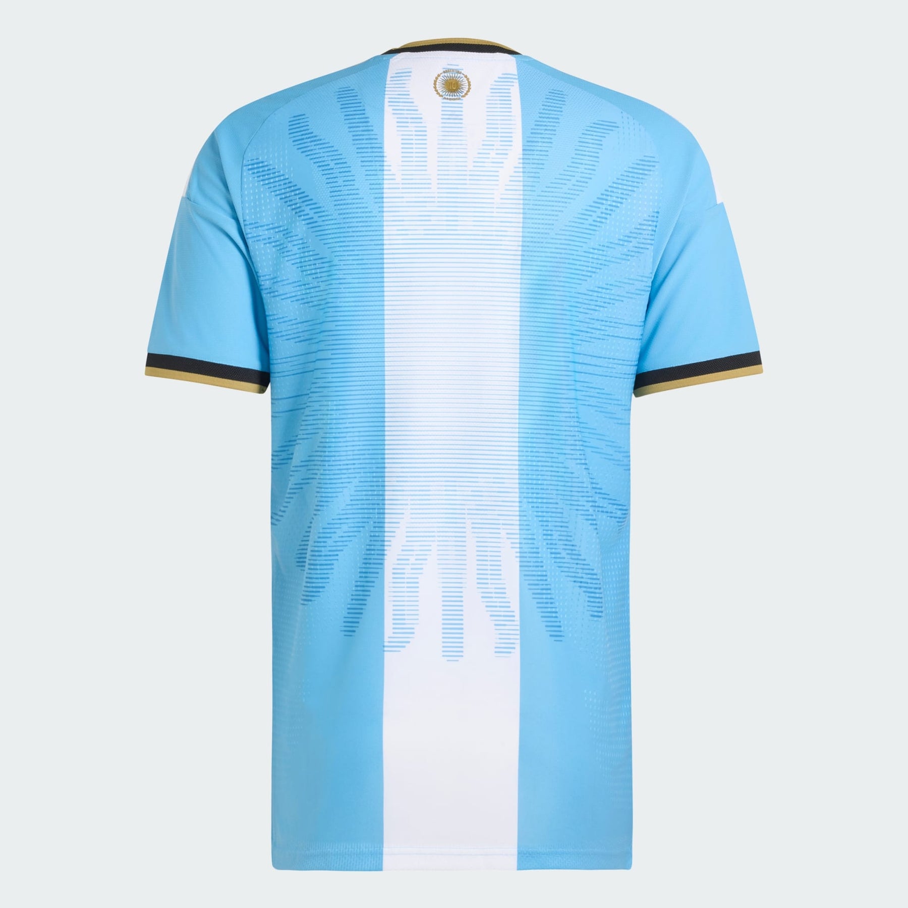 Camisa da Argentina Edição Especial de Despedida de Messi 2026 - Versão Jogador